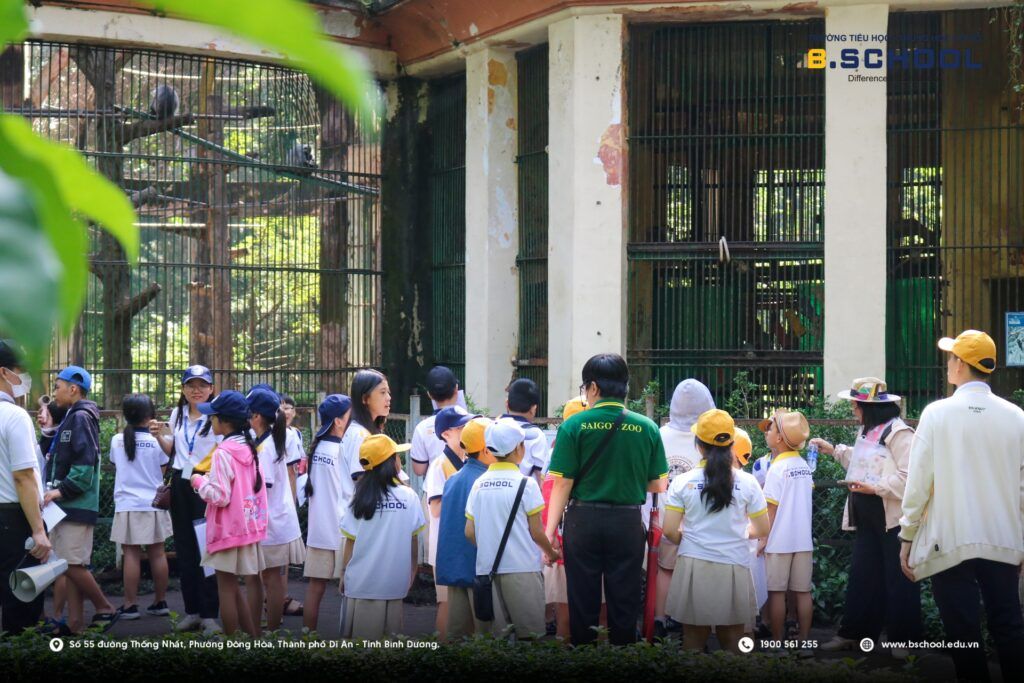 Học sinh B.School tham quan sở thú và tìm hiểu về động vật